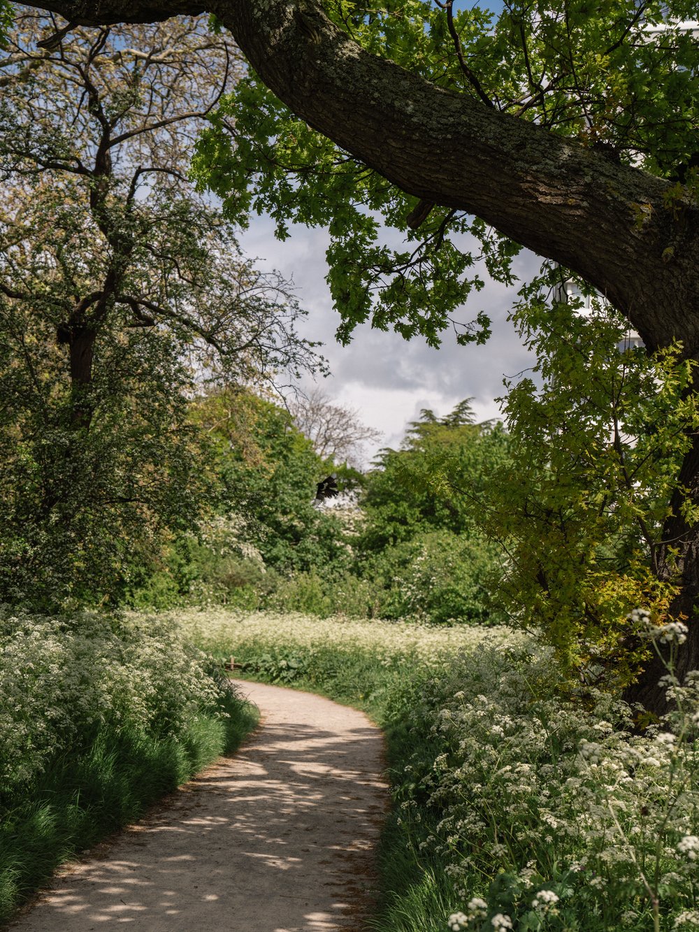 Amhurst Park, Stamford Hill