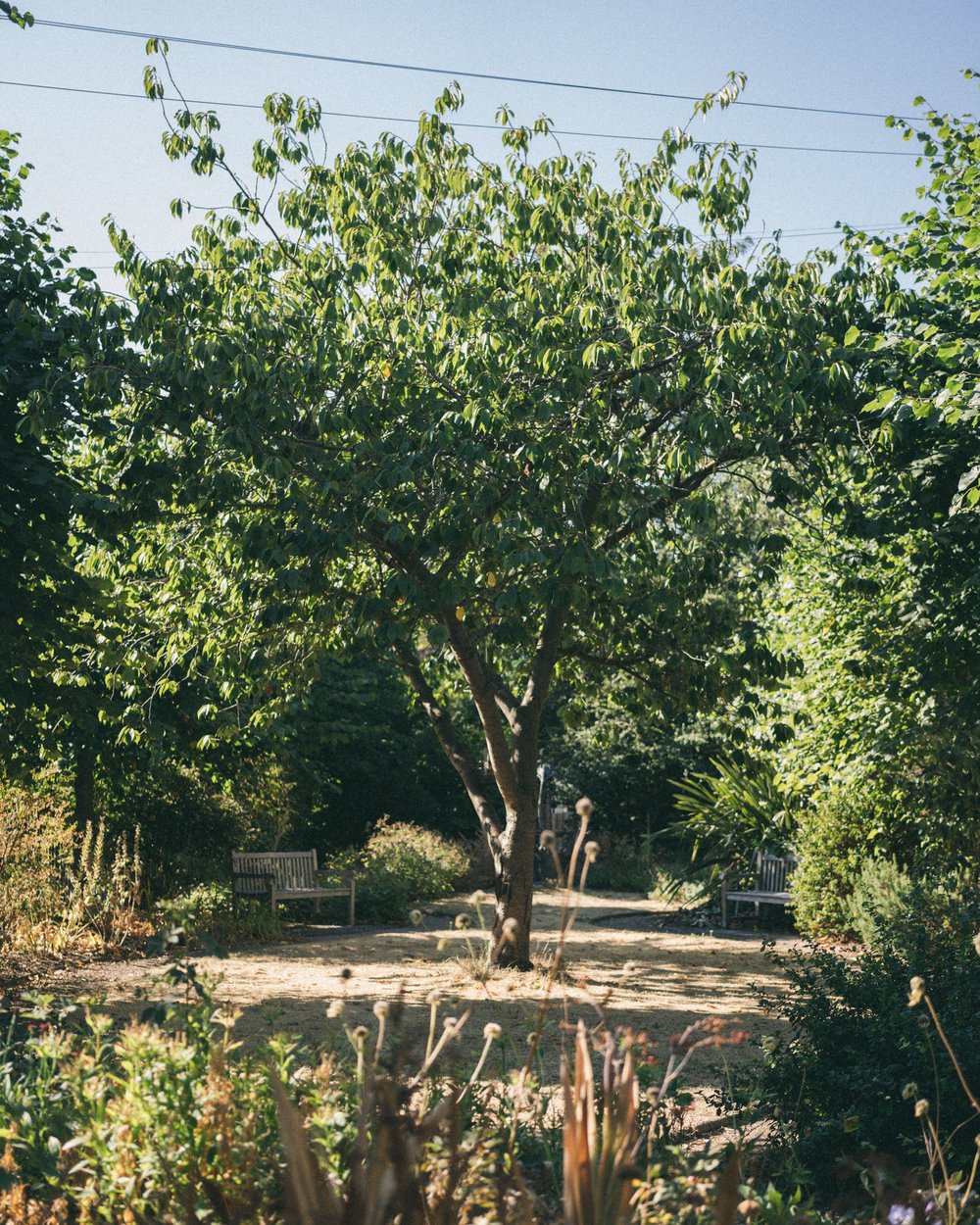 Fassett Square, Hackney