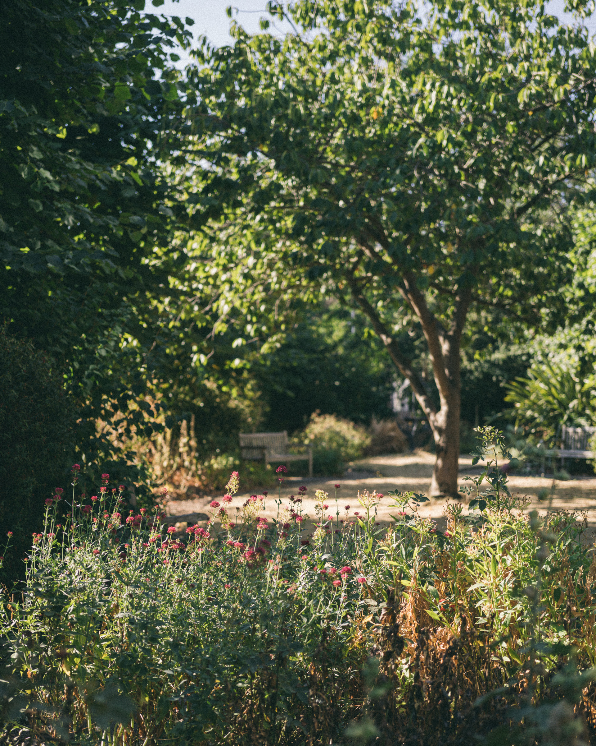 Fassett Square, Hackney