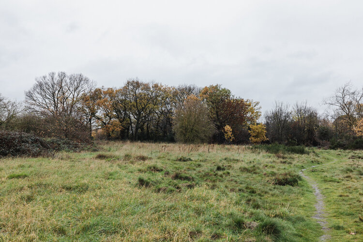 Gladding Road, Manor Park