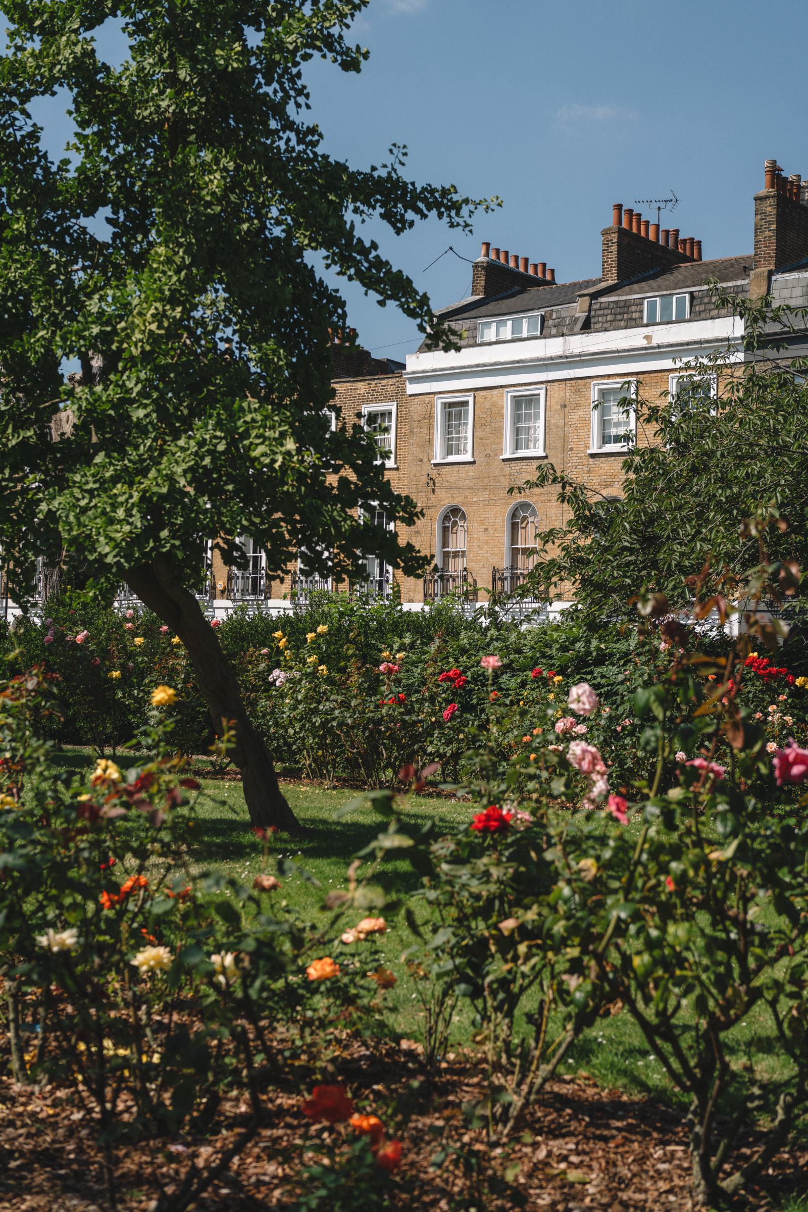 Barnsbury Street, Islington