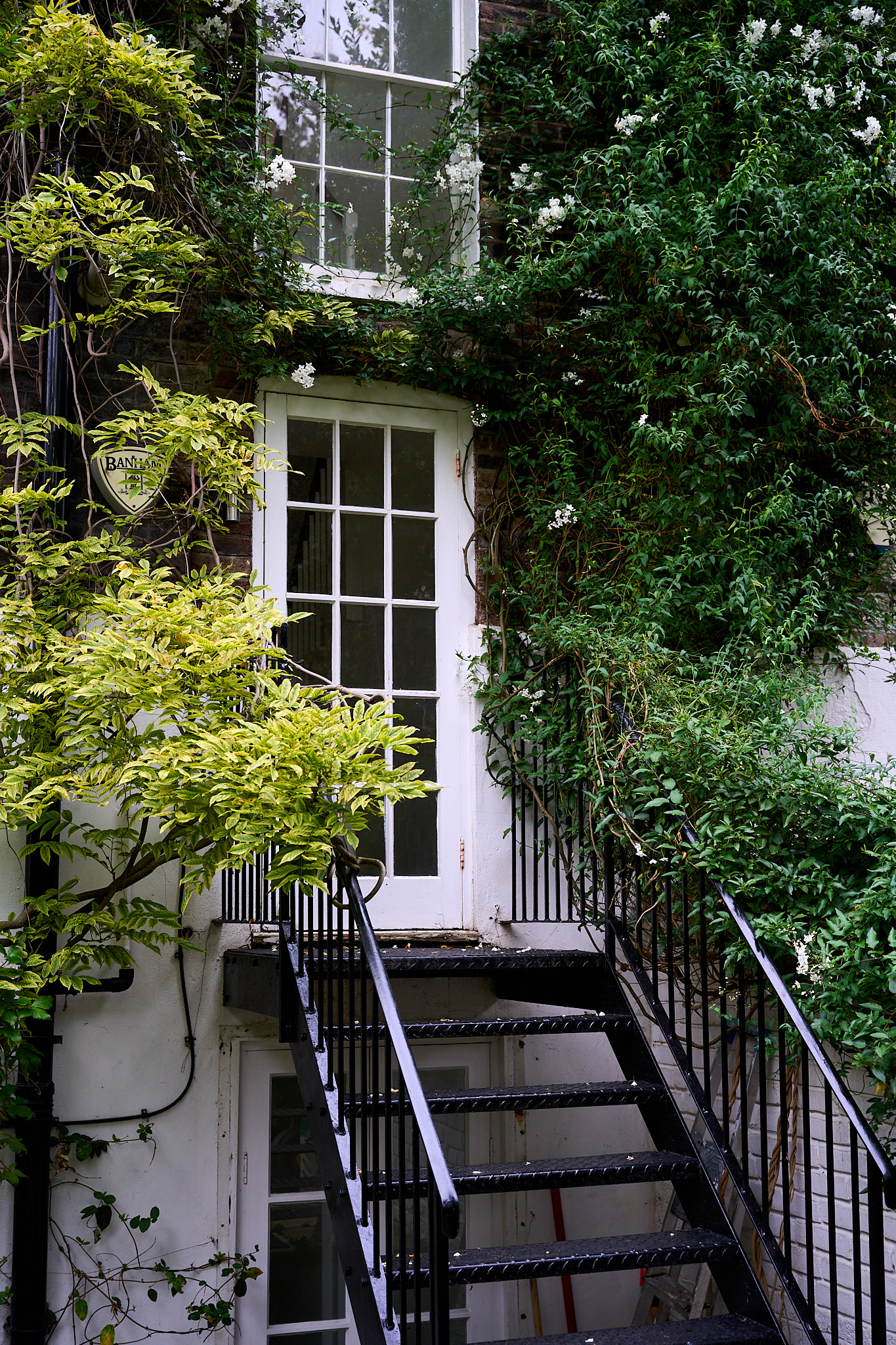 Barnsbury Street, Islington