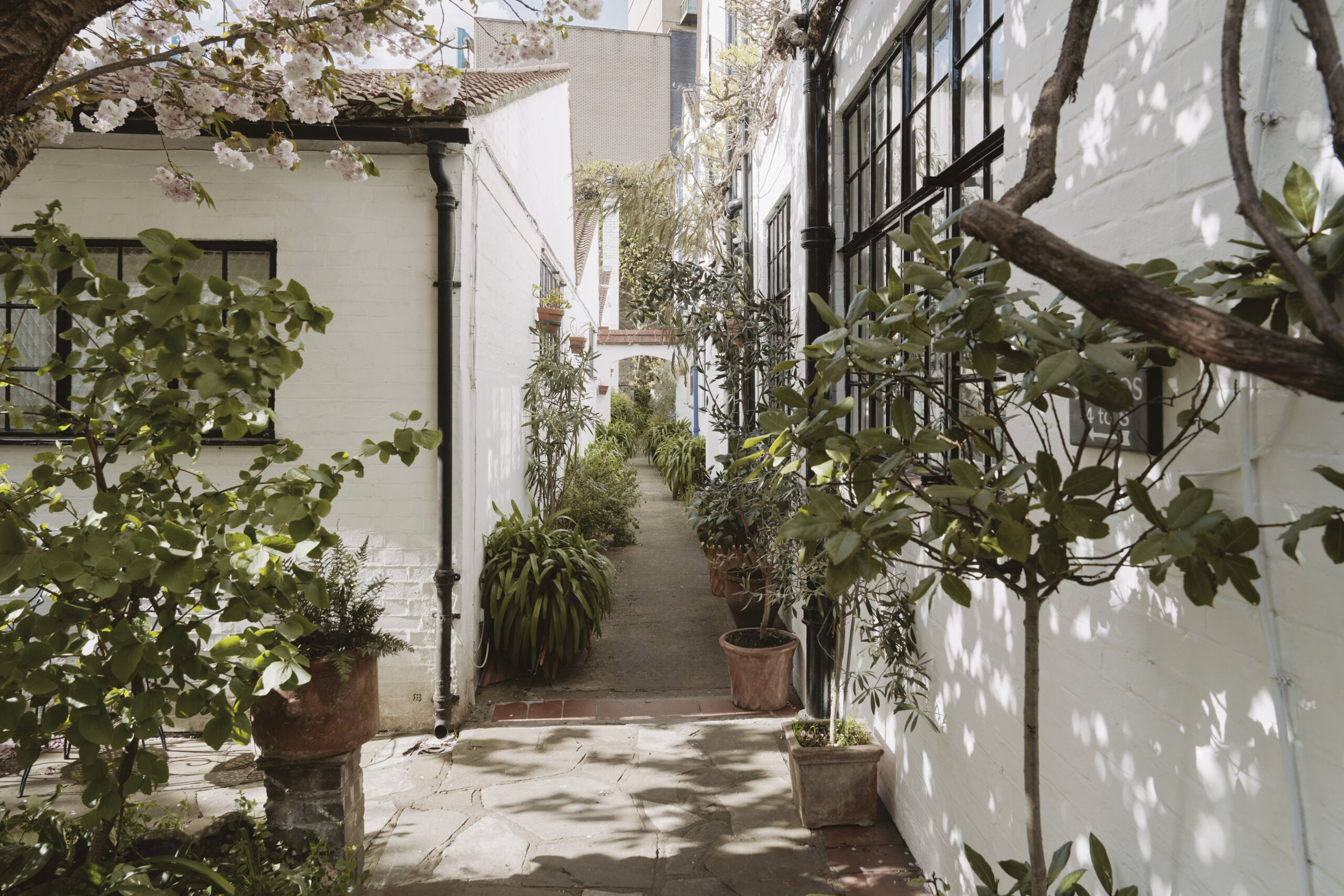 Chelsea Studios