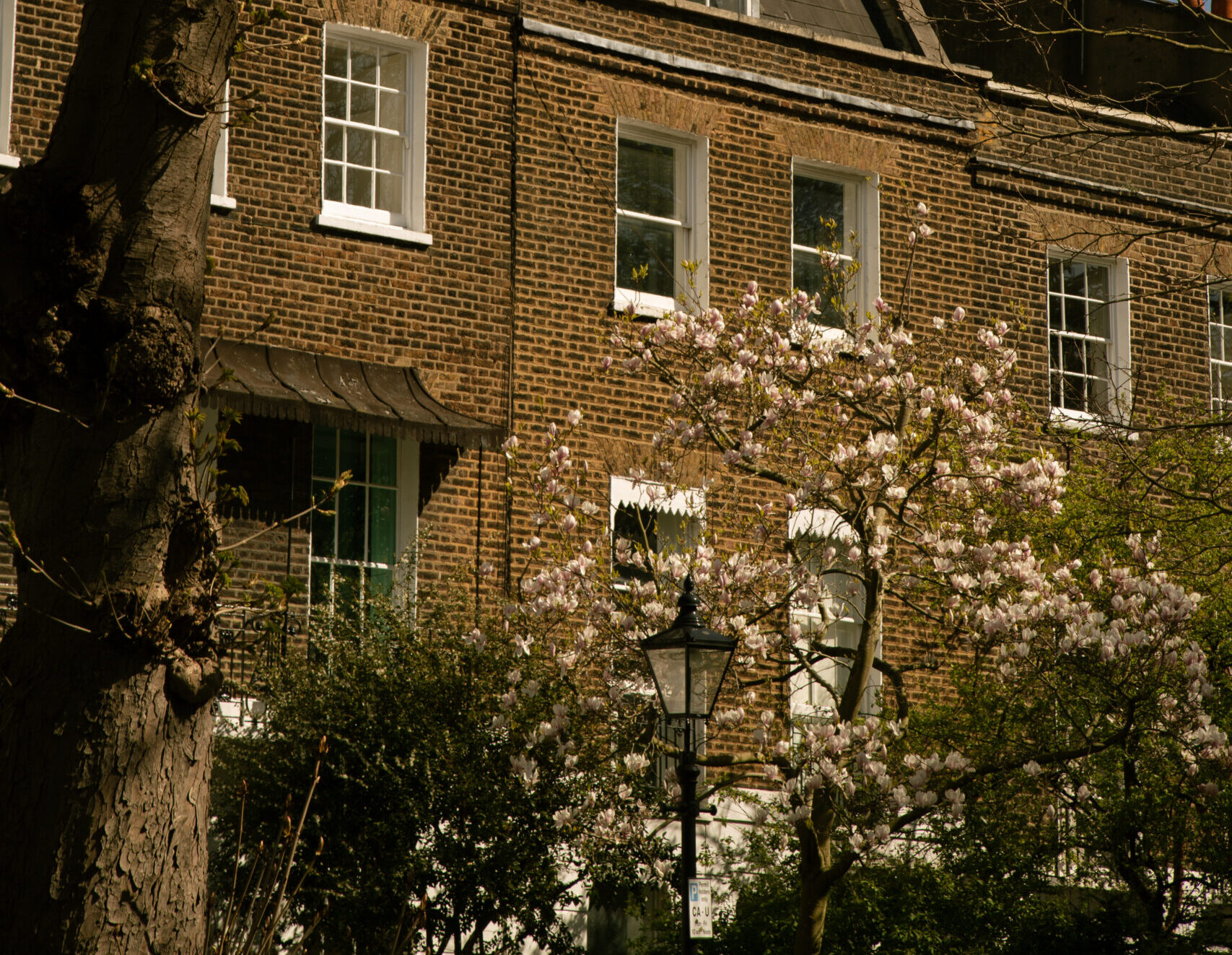 The Flaneur: A Guide To Tufnell Park